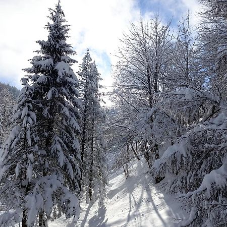 Ferienhaus Baerschwendi Lungern Zewnętrze zdjęcie