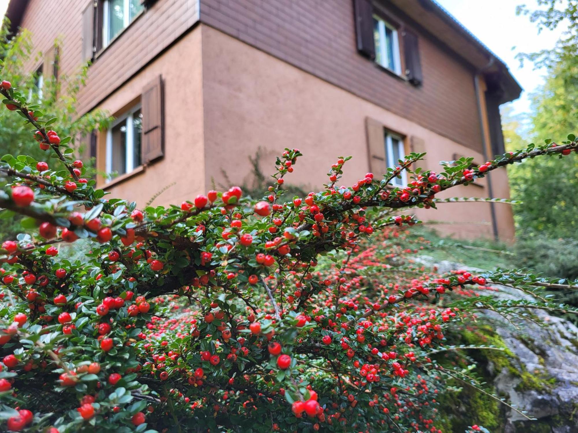 Ferienhaus Baerschwendi Lungern Zewnętrze zdjęcie
