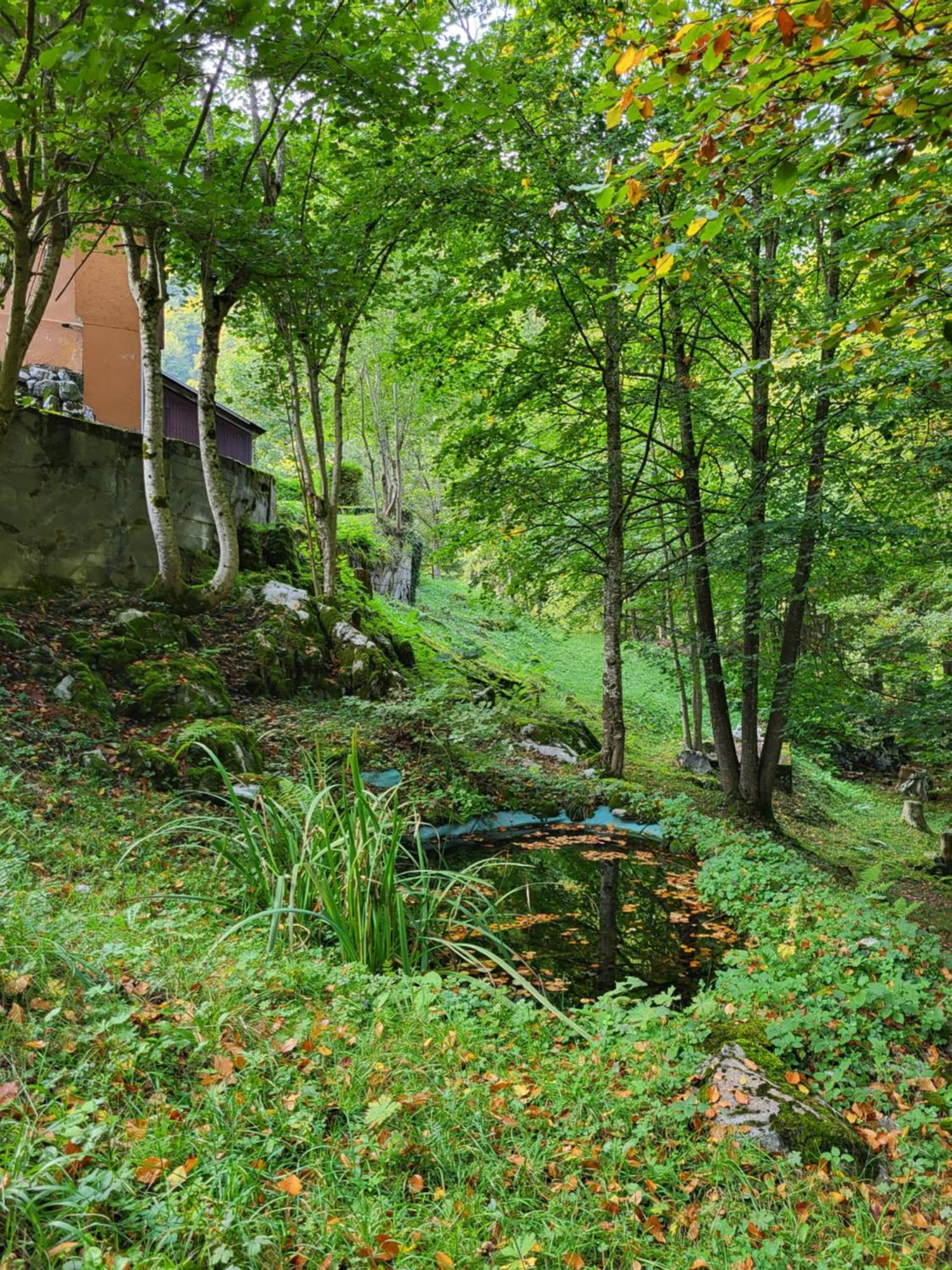 Ferienhaus Baerschwendi Lungern Zewnętrze zdjęcie
