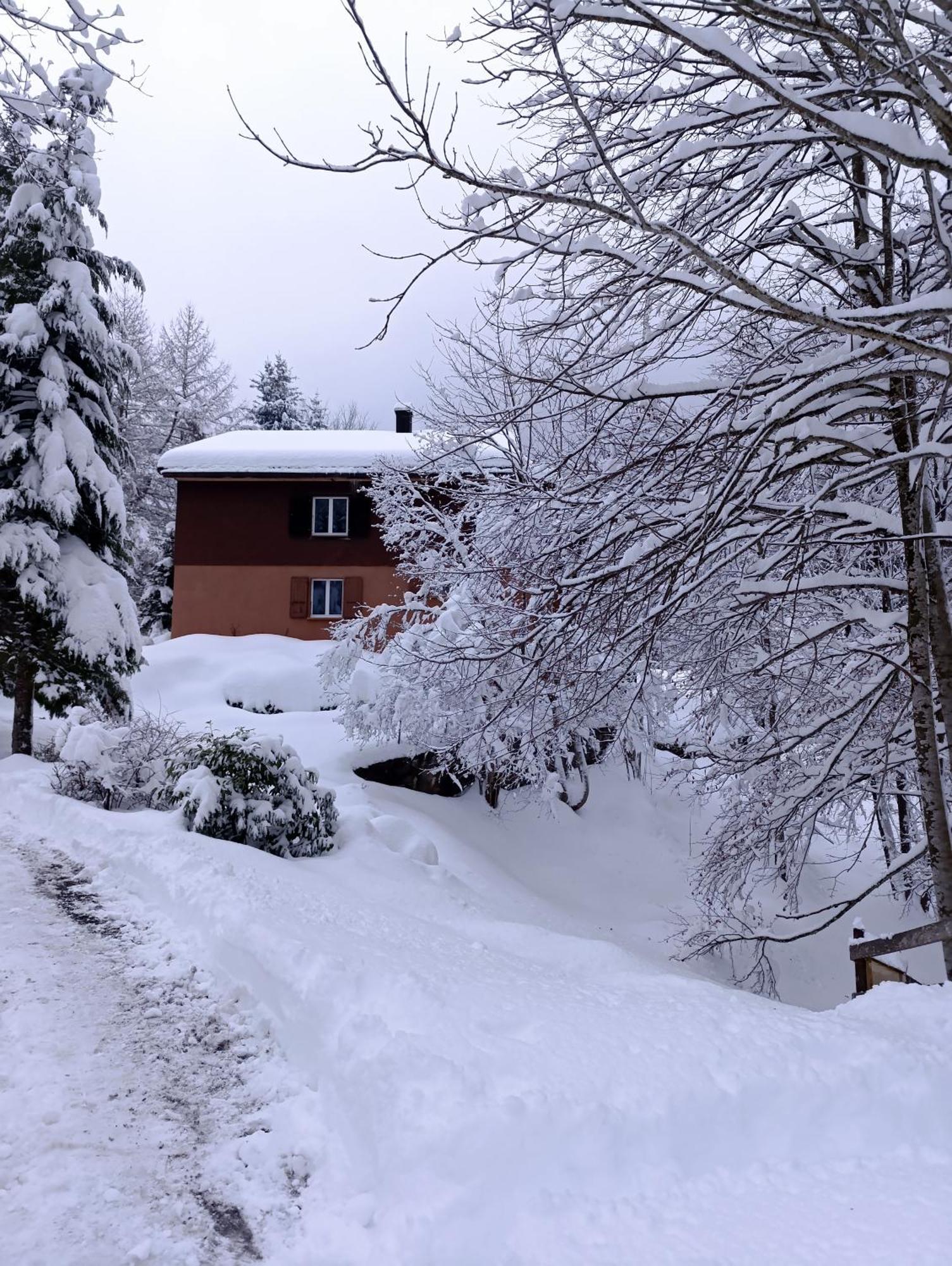 Ferienhaus Baerschwendi Lungern Zewnętrze zdjęcie